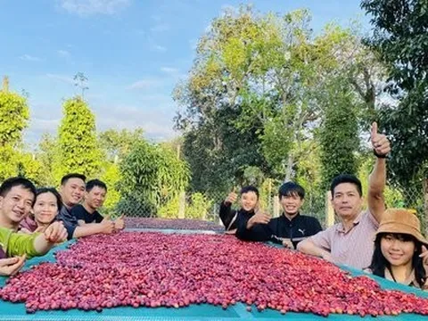 Đắk Lắk thu hút, kêu gọi đầu tư vào nông nghiệp, chế biến