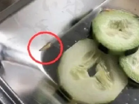 Hoảng hồn giòi bò trong đĩa cơm trưa của công nhân ở Quảng Nam