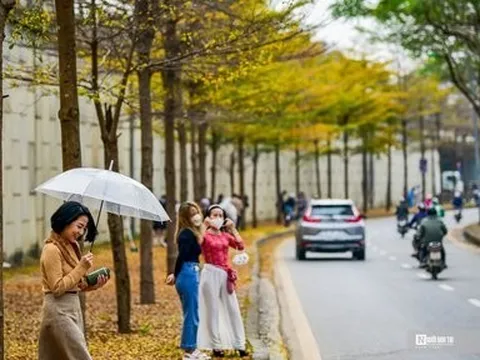 Hà Nội lãng mạn mùa thay lá