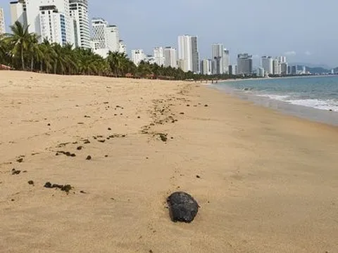 Phát hiện dầu vón cục dạt vào bãi biển ở Nha Trang