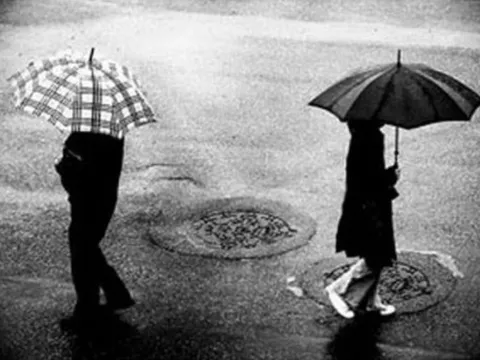 Liệu ta còn gặp lại nhau không?