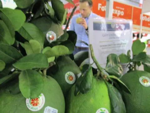 Doanh nghiệp "loay hoay" vì kiểm định nguồn gốc nông sản