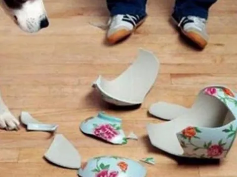 Con gái làm vỡ bình quý, không ngờ lộ bí mật cha giấu hơn chục năm