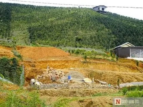 Lâm Đồng: Xử lý nghiêm những Hạt trưởng Kiểm lâm để mất rừng