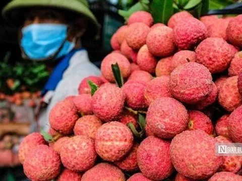 Tham tán thương mại "hiến kế" để giúp nông sản Việt xuất ngoại