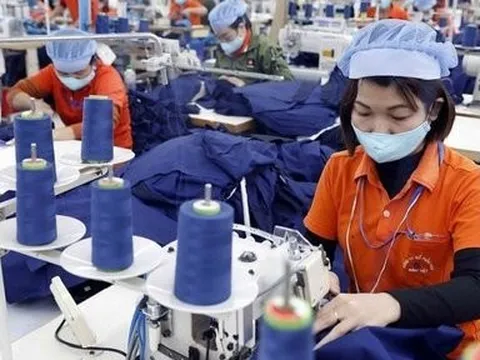 Tận dụng cơ hội từ EVFTA để gia tăng xuất khẩu bền vững