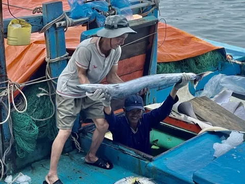 Quảng Ngãi: Đổi mới công tác truyên truyền phòng, chống khai thác IUU