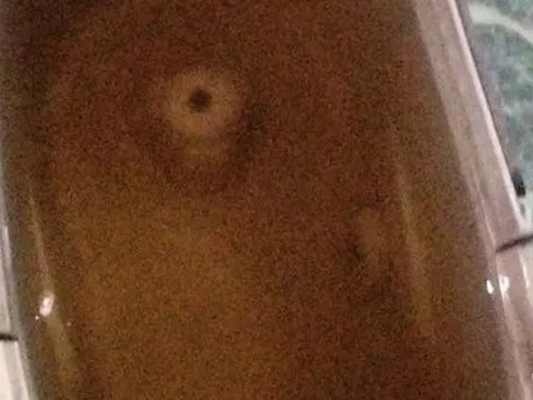 Bình Phước: Người dân bức xúc trước tình trạng nước sinh hoạt đổi màu