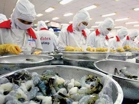 Xuất khẩu tôm có nhiều triển vọng tại thị trường Nhật Bản