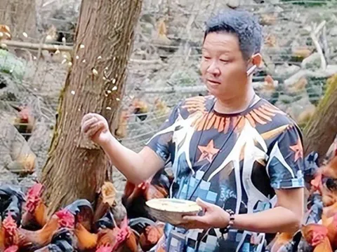 Nam diễn viên bỏ nghề, về quê nuôi gà kiếm hơn 300 tỷ đồng sau 10 năm