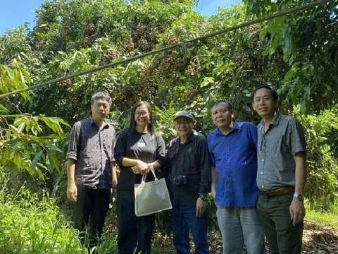 Trở lại Đồng Tháp