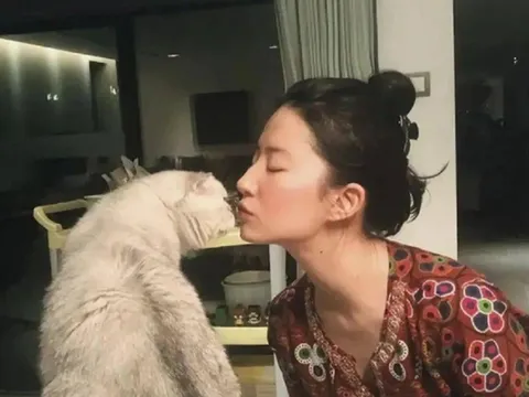 Mỹ nhân U40 có khối tài sản "khủng" 4000 tỷ, gây chú ý khi chưa kết hôn, nuôi 20 con mèo bầu bạn