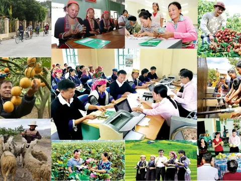 Chính phủ ban hành Chương trình hành động tiếp tục đổi mới, nâng cao chất lượng chính sách xã hội