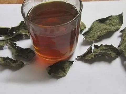 Uống nước xạ đen thường xuyên có thực sự tốt cho sức khỏe?