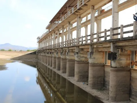 Ngày Môi trường thế giới 2024: Chống hạn hán gắn với phát triển bền vững