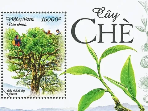 Phát hành bộ tem 'Cây chè'