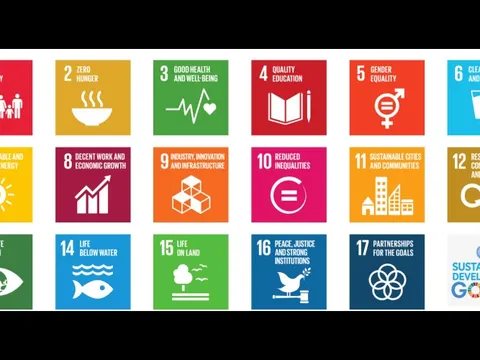 Nhiều start-up tích hợp các mục tiêu phát triển bền vững vào hoạt động