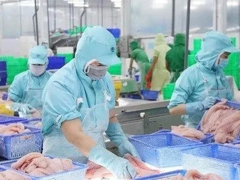 Triển vọng tích cực cho xuất khẩu cá tra của Việt Nam sang Canada