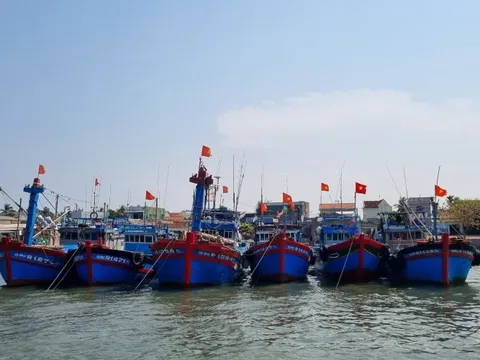 Quảng Ngãi giám sát chặt chẽ tàu cá có nguy cơ cao vi phạm khai thác IUU