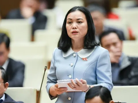 ĐBQH kiến nghị đưa kinh doanh hàng không "quay về bản chất thực"