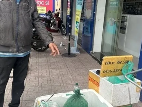 Tây Ninh: Tạm giữ hình sự đối tượng mua bán rắn hổ mang chúa