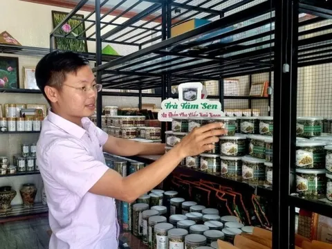 Nghệ An: Phát triển liên kết chuỗi giá trị và tiêu thụ sản phẩm OCOP