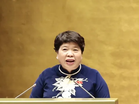 Tiếp tục trình Quốc hội hai phương án nhận bảo hiểm một lần