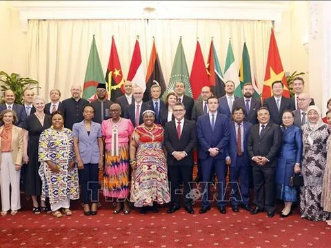 Việt Nam đánh giá cao vị thế và uy tín của Liên minh châu Phi