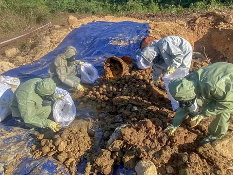 Xử lý triệt để chất độc hóa học tồn lưu sau chiến tranh tại đèo Cù Mông