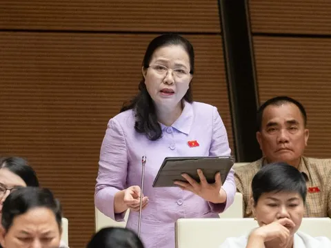 Đại biểu nêu tâm lý 'sợ sai' và đề xuất cơ chế bảo vệ cán bộ