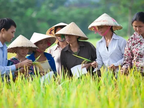 Công bố Báo cáo về Chương trình 'Khung Quản lý thuốc BVTV bền vững'