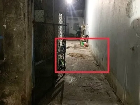 Đồng Nai: Điều tra vụ sát hại tình địch rồi đến cơ quan công an đầu thú