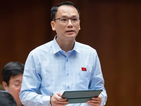 Đại biểu Quốc hội kiến nghị các giải pháp giảm giá vé máy bay, kích cầu du lịch