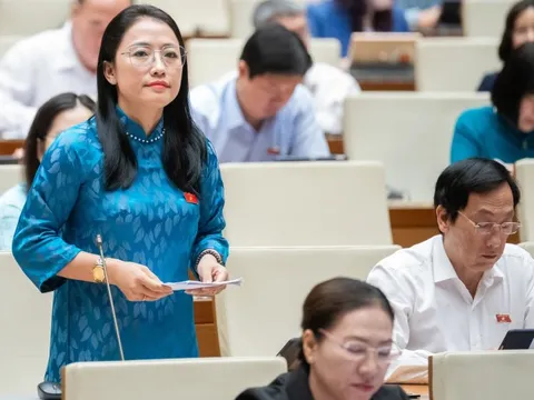 Lĩnh vực đào tạo được thảo luận sôi nổi trên nghị trường