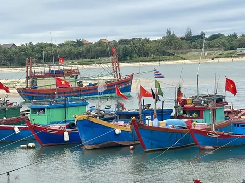 Quảng Bình quản lý chặt chẽ tàu cá '3 không'