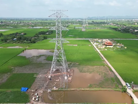 Cơ bản hoàn thành dựng cột dự án đường dây 500kV mạch 3 cung đoạn NMNĐ Nam Định I – Thanh Hóa