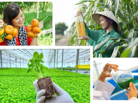 Chỉ đạo, điều hành của Chính phủ, Thủ tướng Chính phủ nổi bật tháng 5/2024