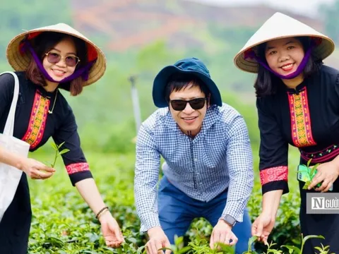 Gia tăng giá trị cho cây chè trong phát triển du lịch Lạng Sơn