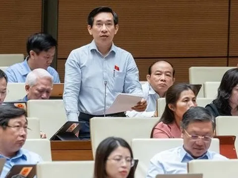Băn khoăn quy định dao từ 20cm được coi là vũ khí thô sơ