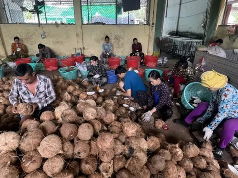Bến Tre tập trung phát triển kinh tế tập thể, hợp tác xã