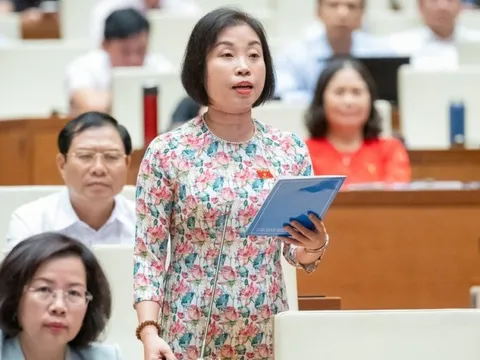Cam kết chống hàng giả trong thương mại điện tử có hiệu quả?