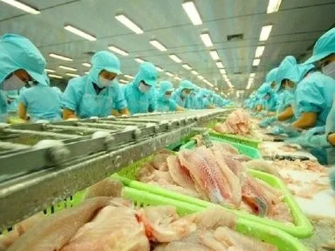 Giá xuất khẩu cá tra dự báo tăng 10% trong quý 3/2024