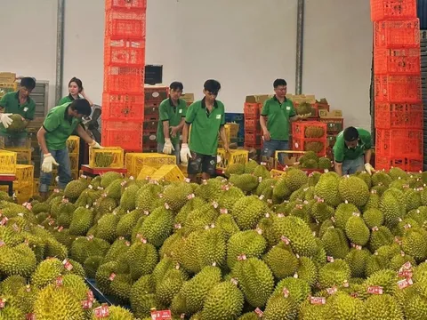 Thúc đẩy xuất khẩu nông sản sang Trung Quốc thông qua các Nghị định thư