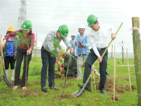 Petrovietnam: Trồng cây xanh là giải pháp quan trọng trong chuyển dịch năng lượng