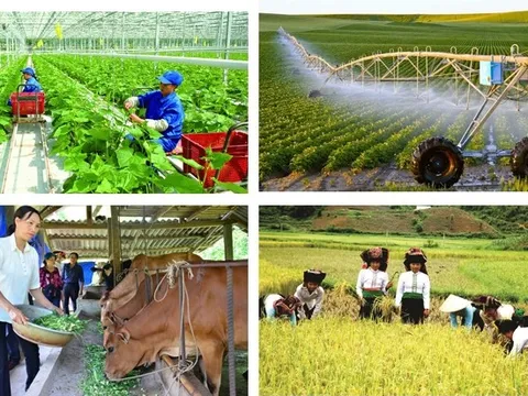 Tổng điều tra nông thôn, nông nghiệp năm 2025 vào ngày 1/7/2025