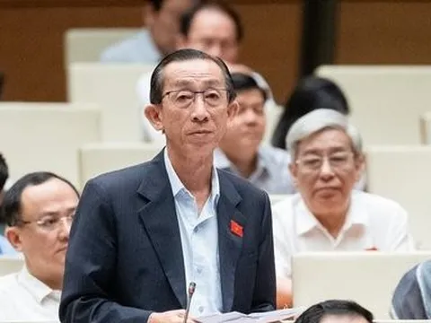 ĐBQH nêu lý do ủng hộ Đà Nẵng thí điểm khu thương mại tự do