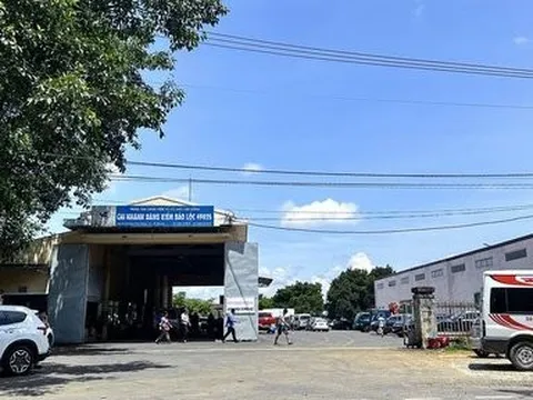 Lâm Đồng: Nguyên nhân chậm trễ Giấy chứng nhận đăng kiểm