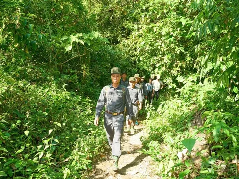 Hợp tác quản lý rừng bền vững trong ASEAN