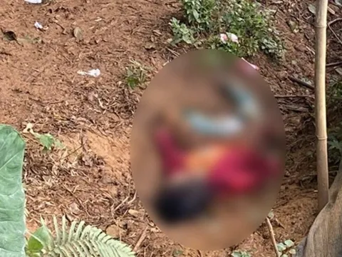 Lào Cai: Điều tra vụ án mạng khiến 2 người thương vong