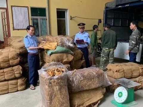 Lạng Sơn: Phát hiện gần 15 tấn thuốc lá nghi nhập lậu